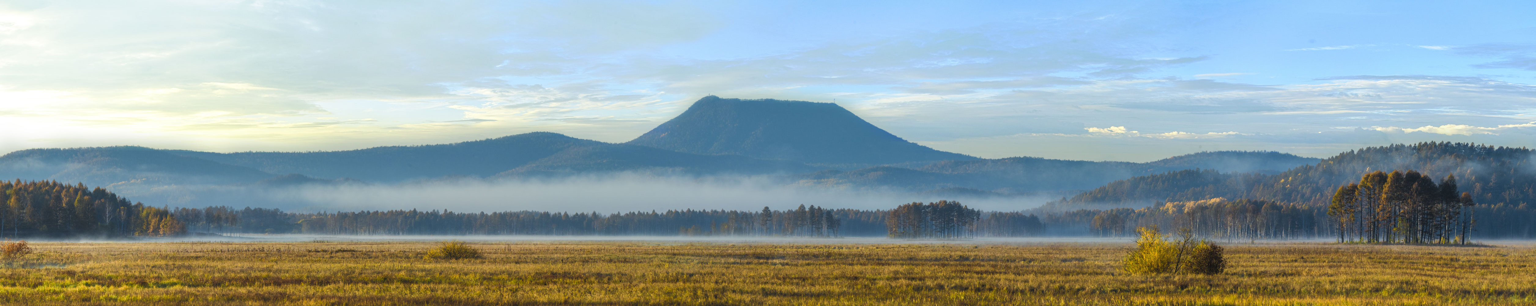 Glassland in Bila River Ramsar Site